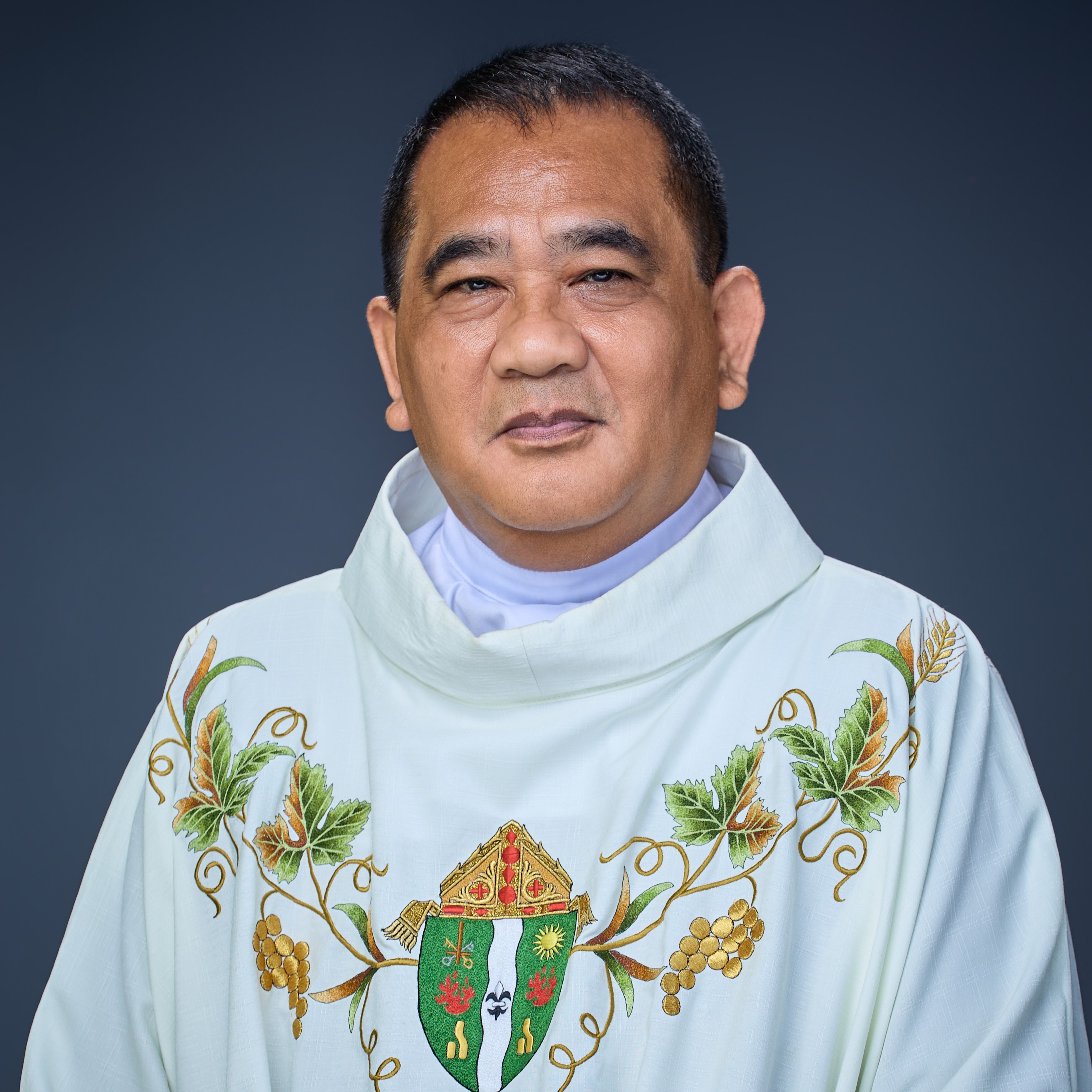 Rev. Fr. Franklin Manibog photo