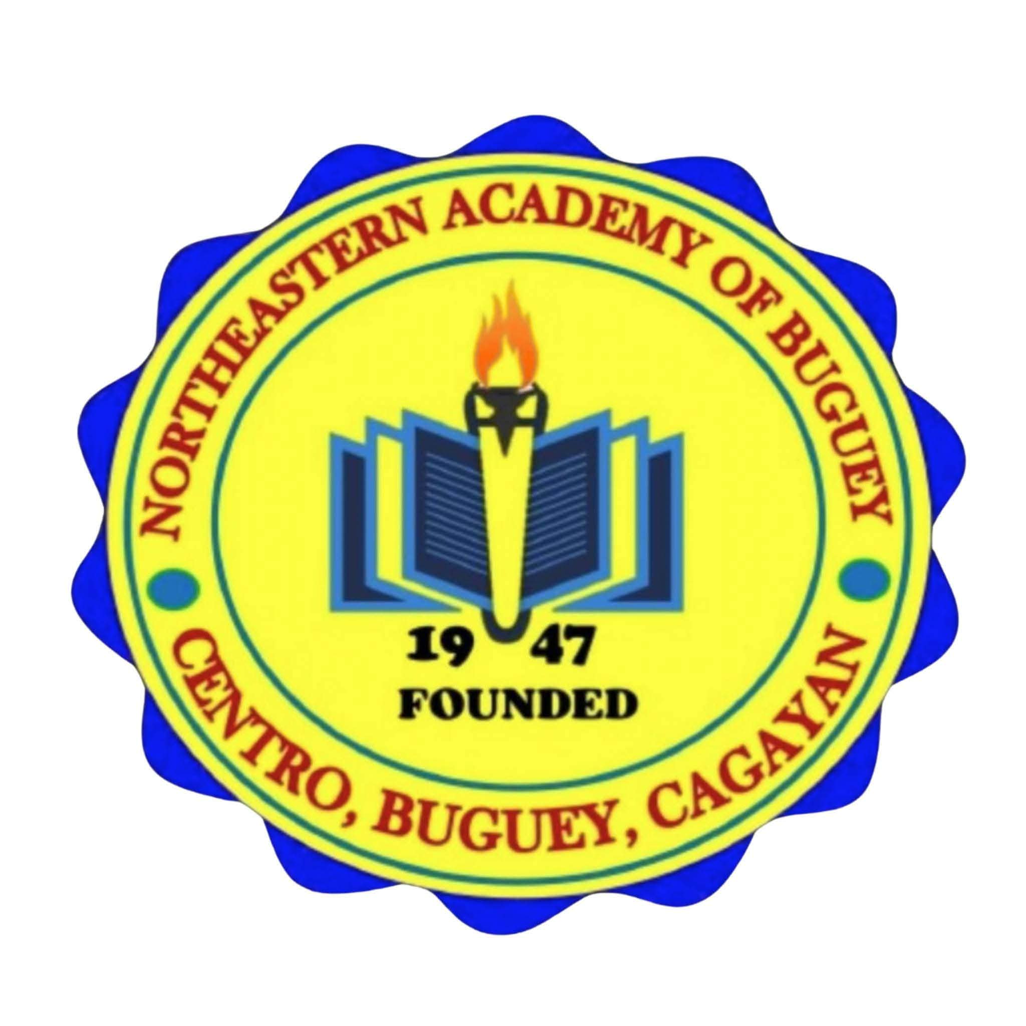 Northeastern Academy of Buguey logo or photo